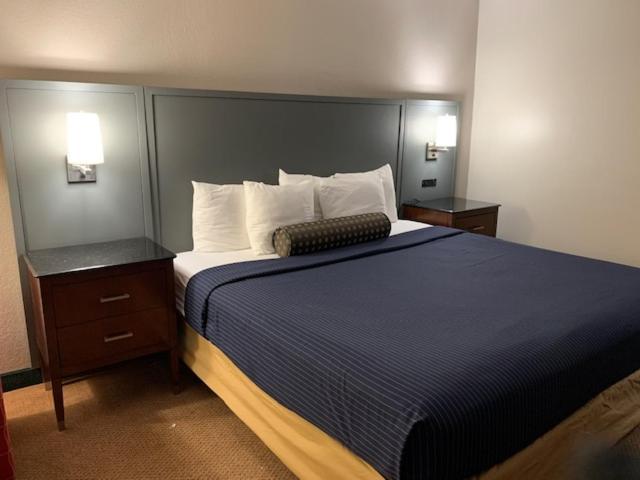 Double Room - Non-Smoking,704759614:JPEG