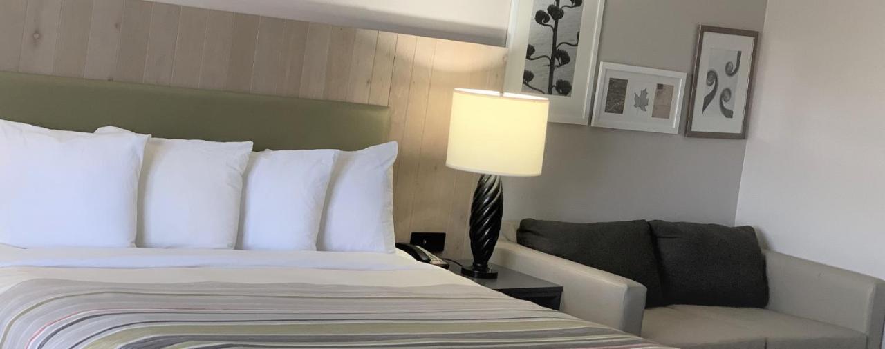 King Studio Suite with Sofa-Bed - Non-Smoking,1214168581:JPEG