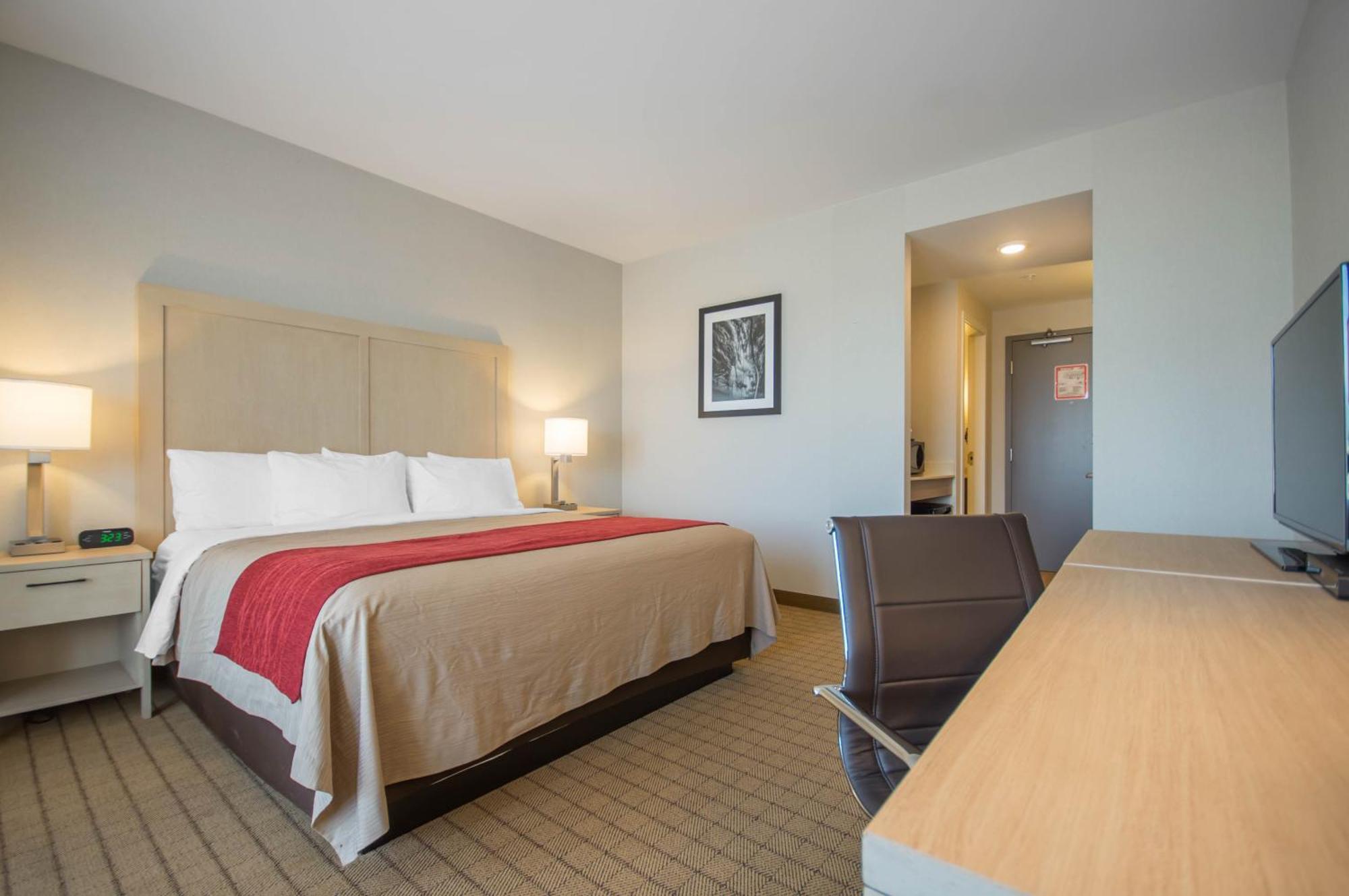 Standard King Room