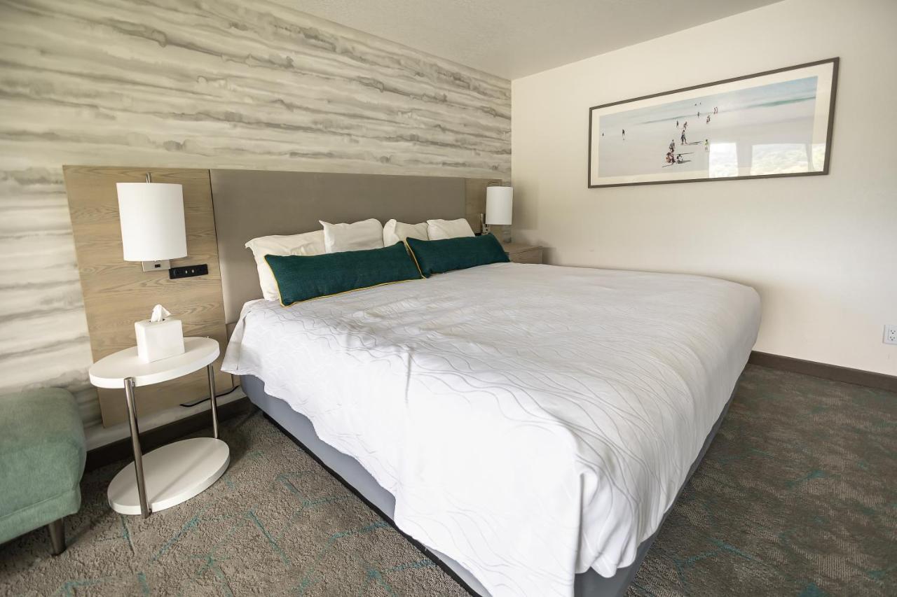 Deluxe King Room,1257562885:JPEG