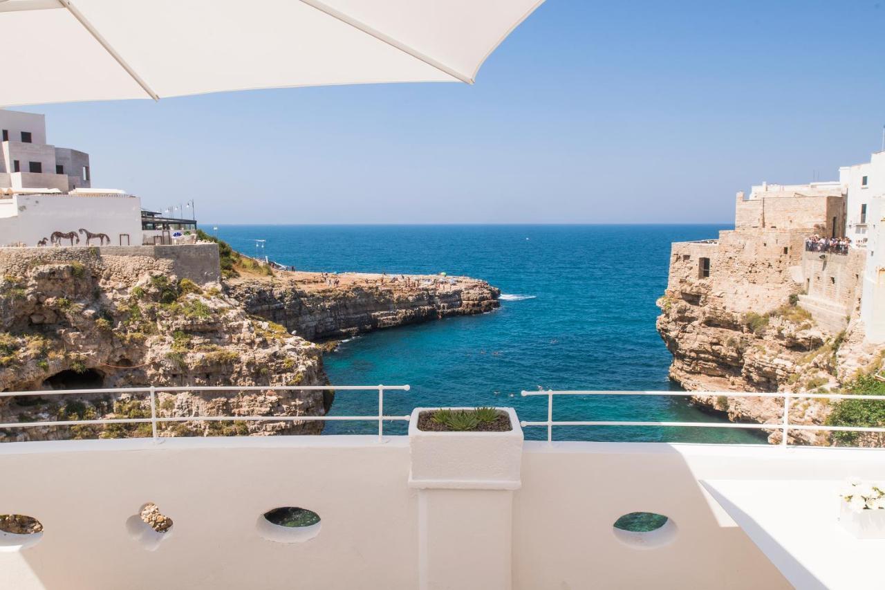 Suite Terrace