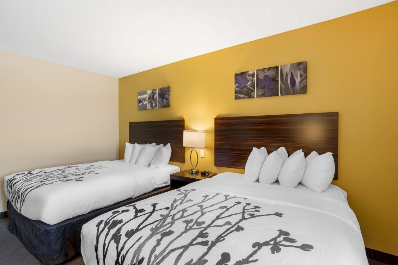 Quadruple Room with Two Queen Beds - Disability Access/Non Smoking,1410581339:JPEG