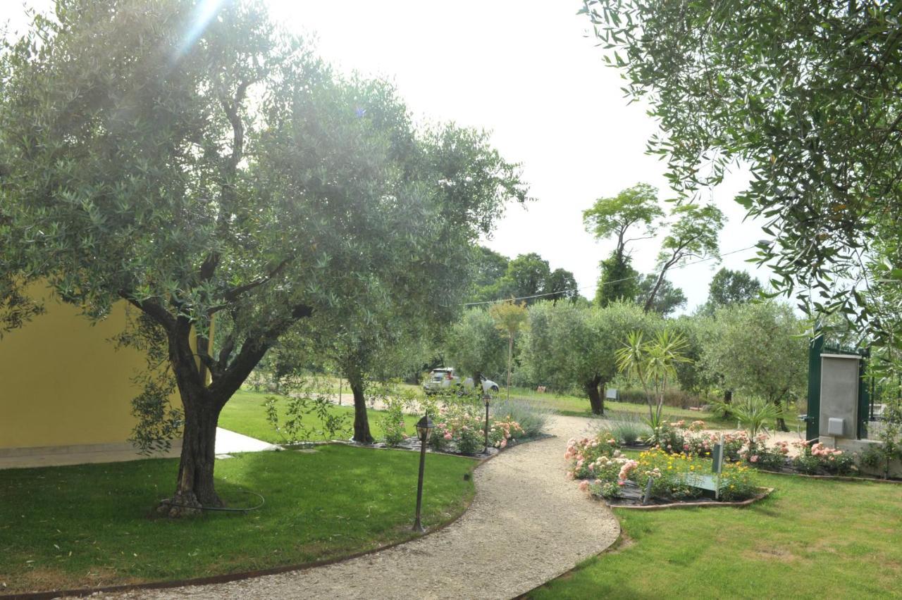 King Room Garden View