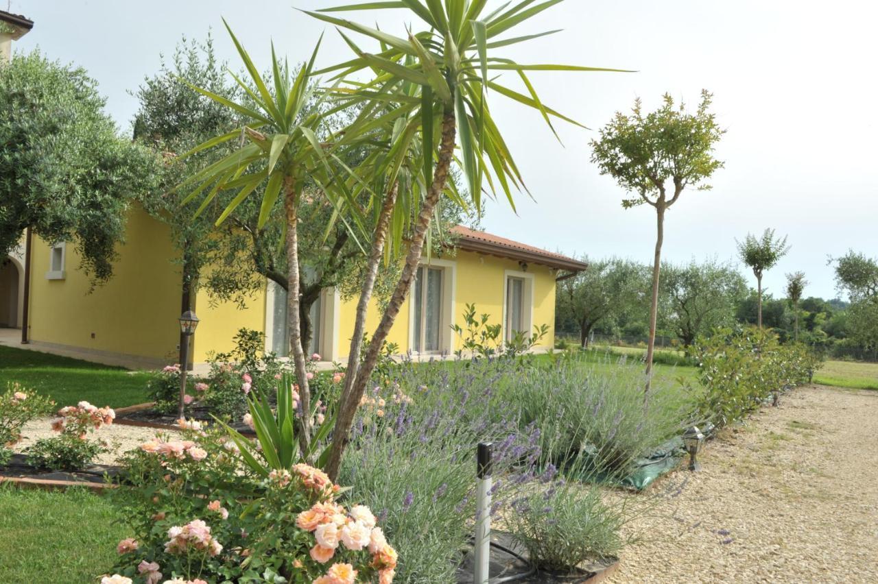 King Room Garden View