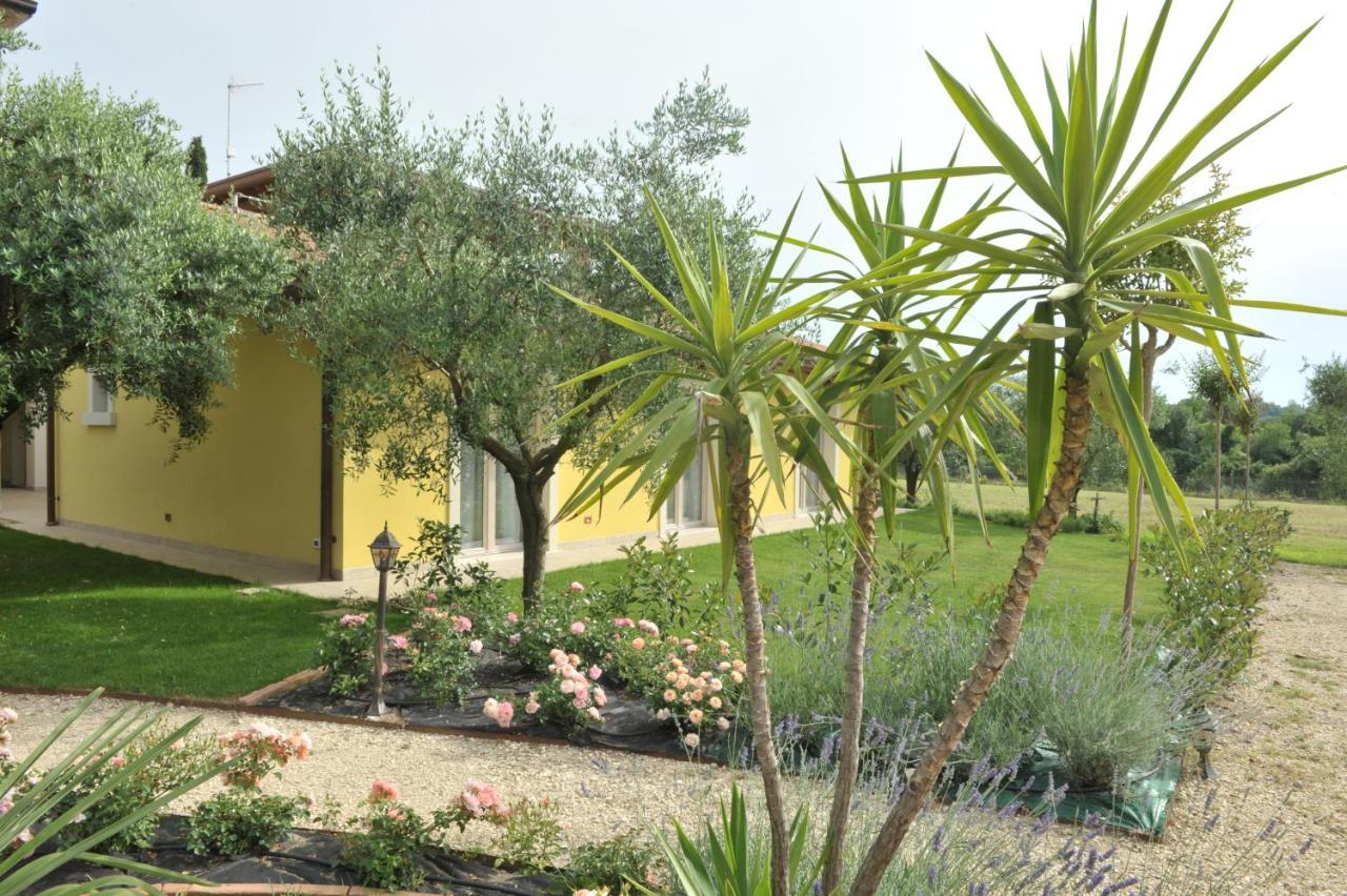 King Room Garden View