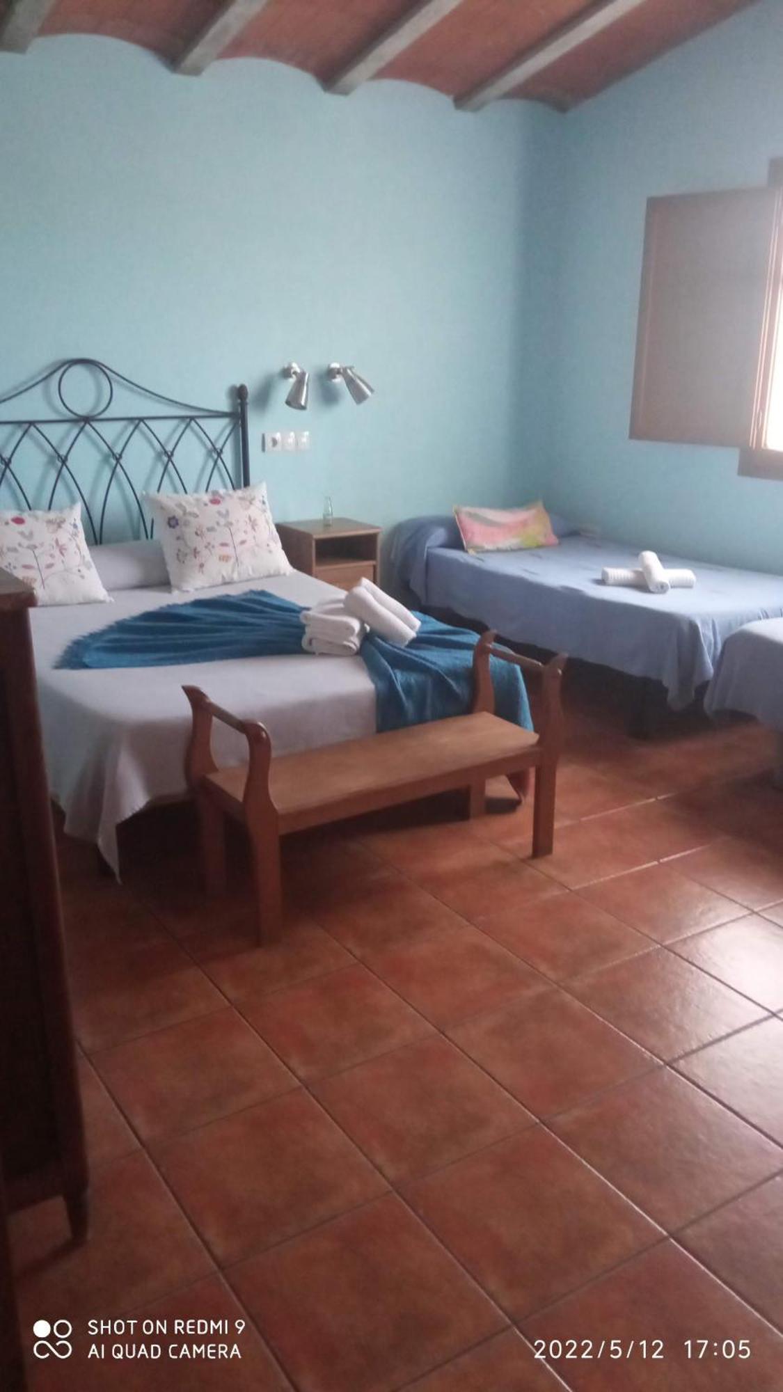 Quadruple Room,855689312:JPEG