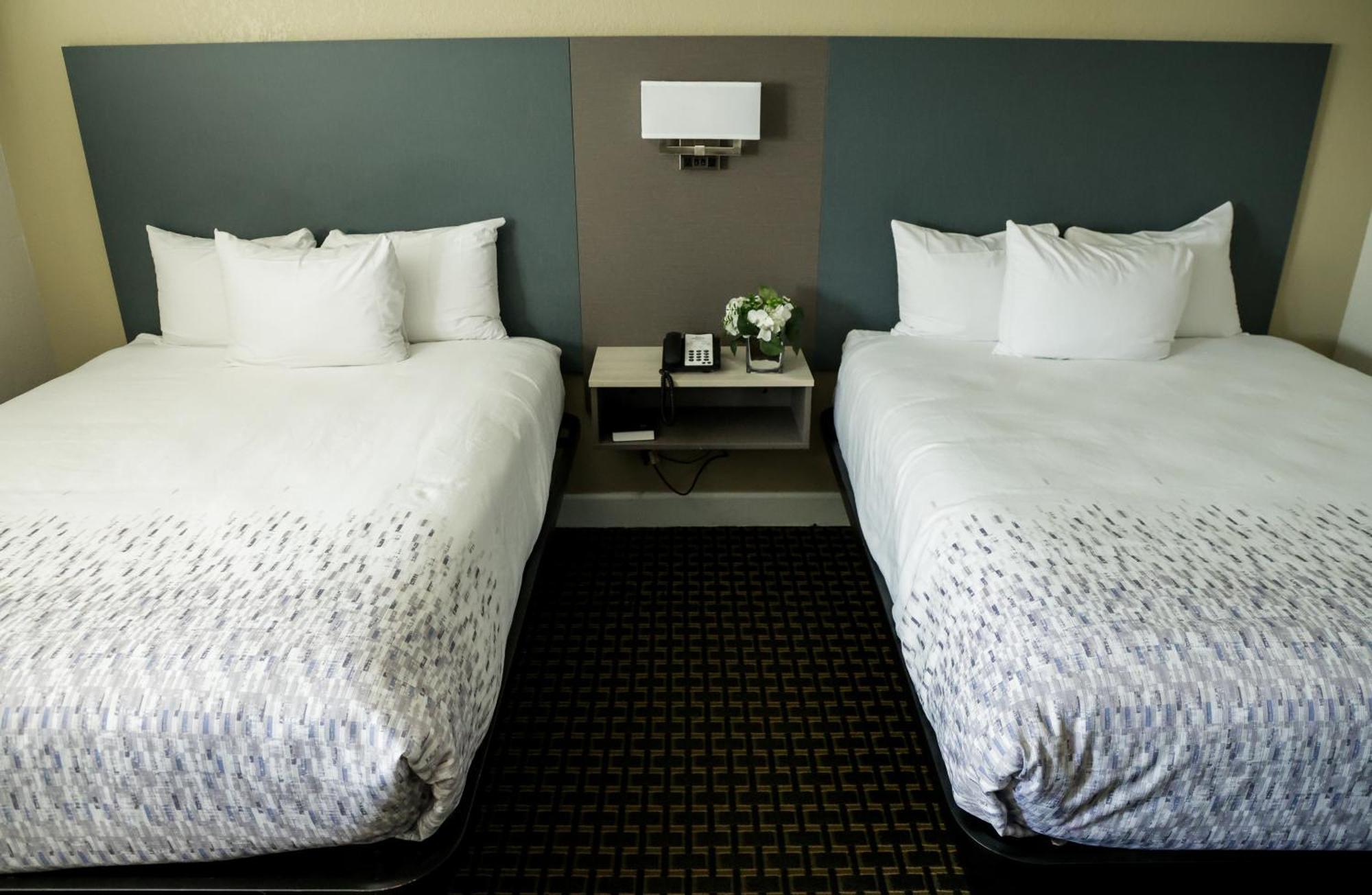 Queen Room Two Queen Beds