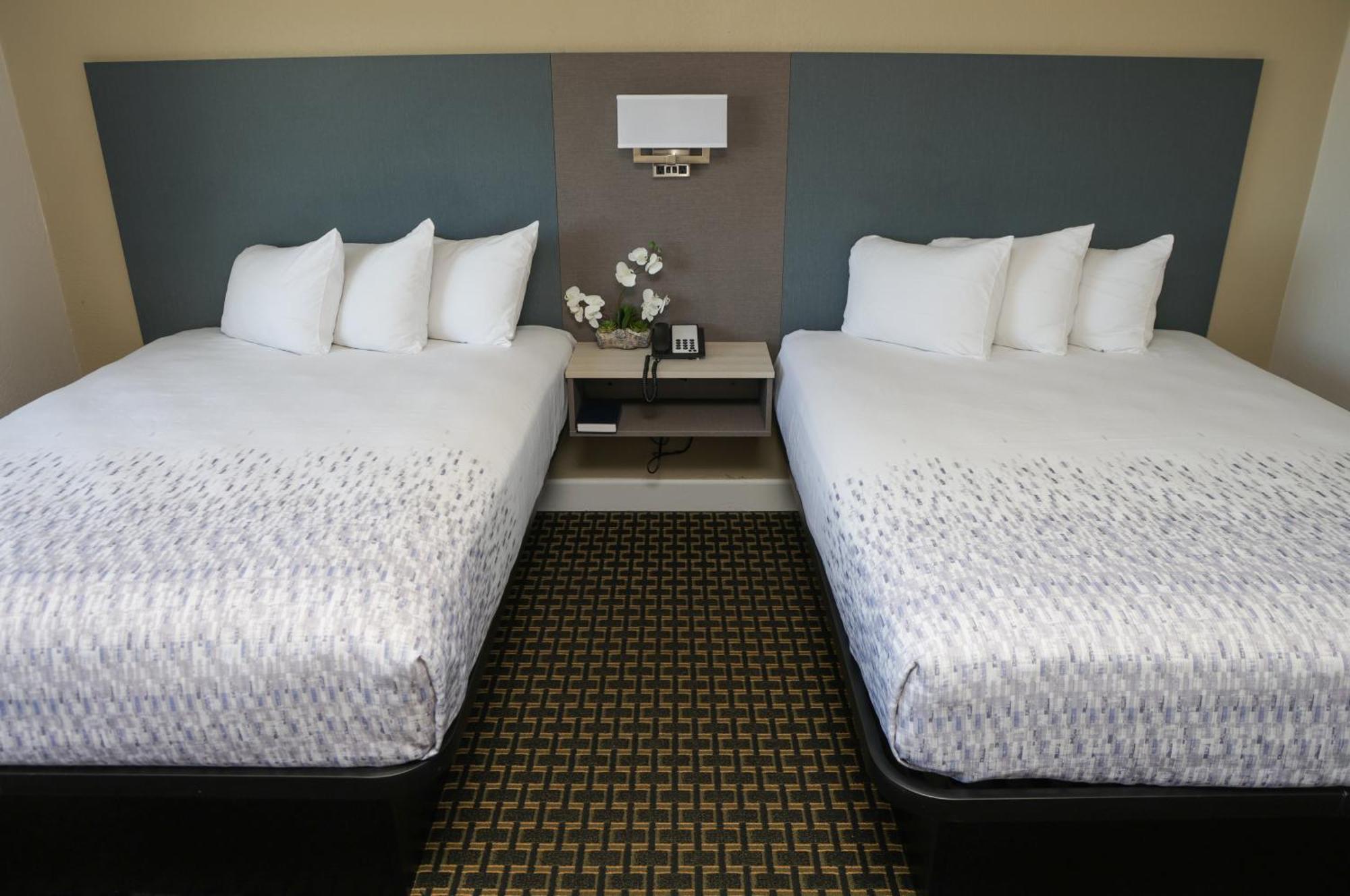 Queen Room Two Queen Beds
