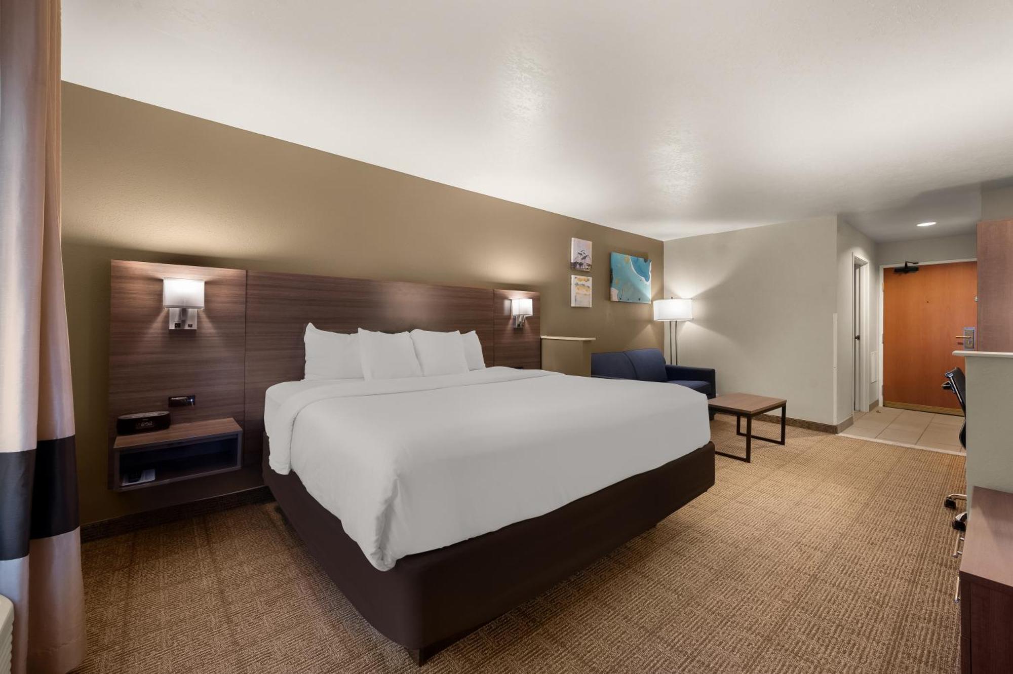 King Suite Sofa Bed,1709551848:JPEG