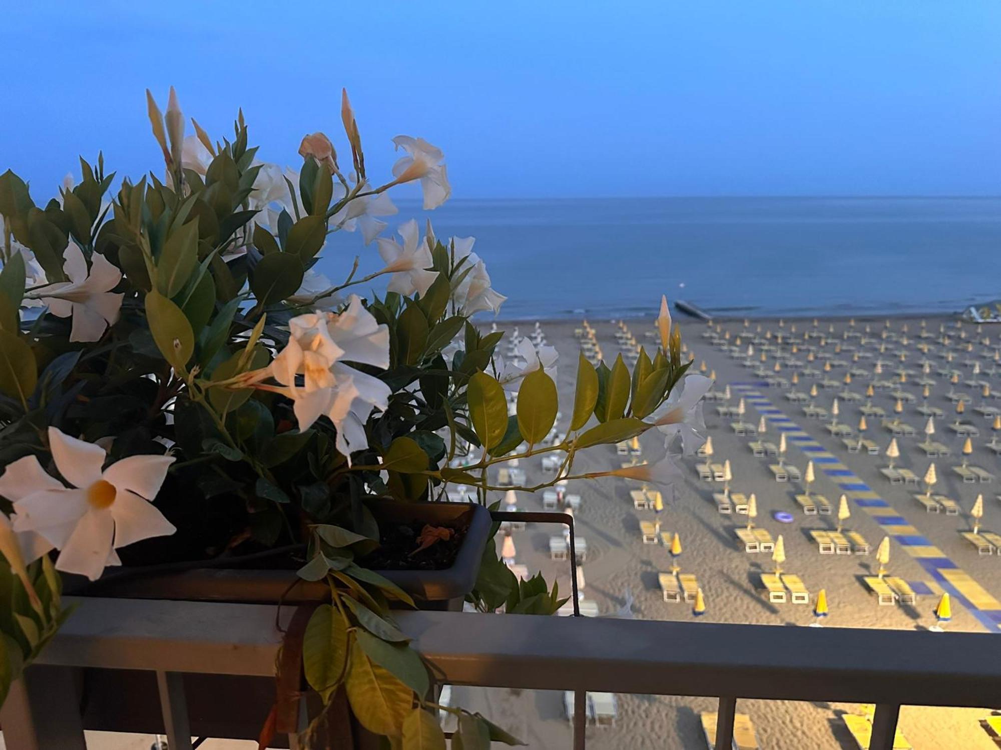 Double Room Balcony Sea View