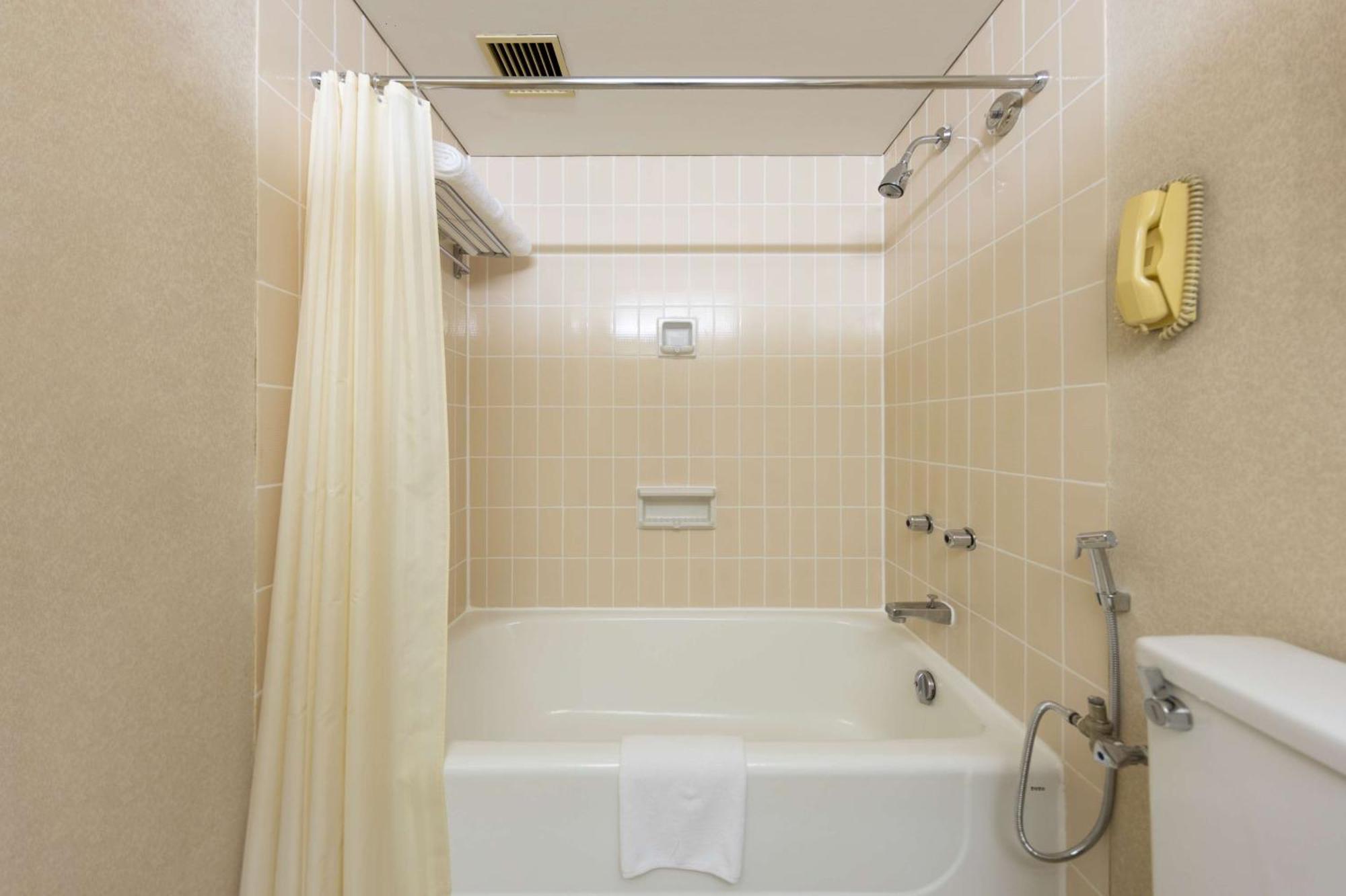 Executive Twin Room,1622024875:JPEG