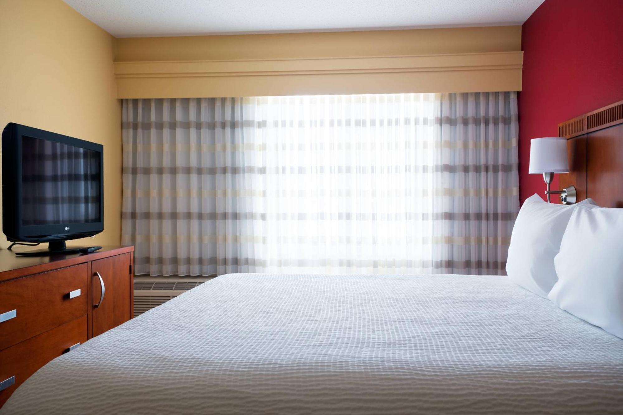 1 Bedroom Suite, 1 King, Sofa bed,1644413509:JPEG