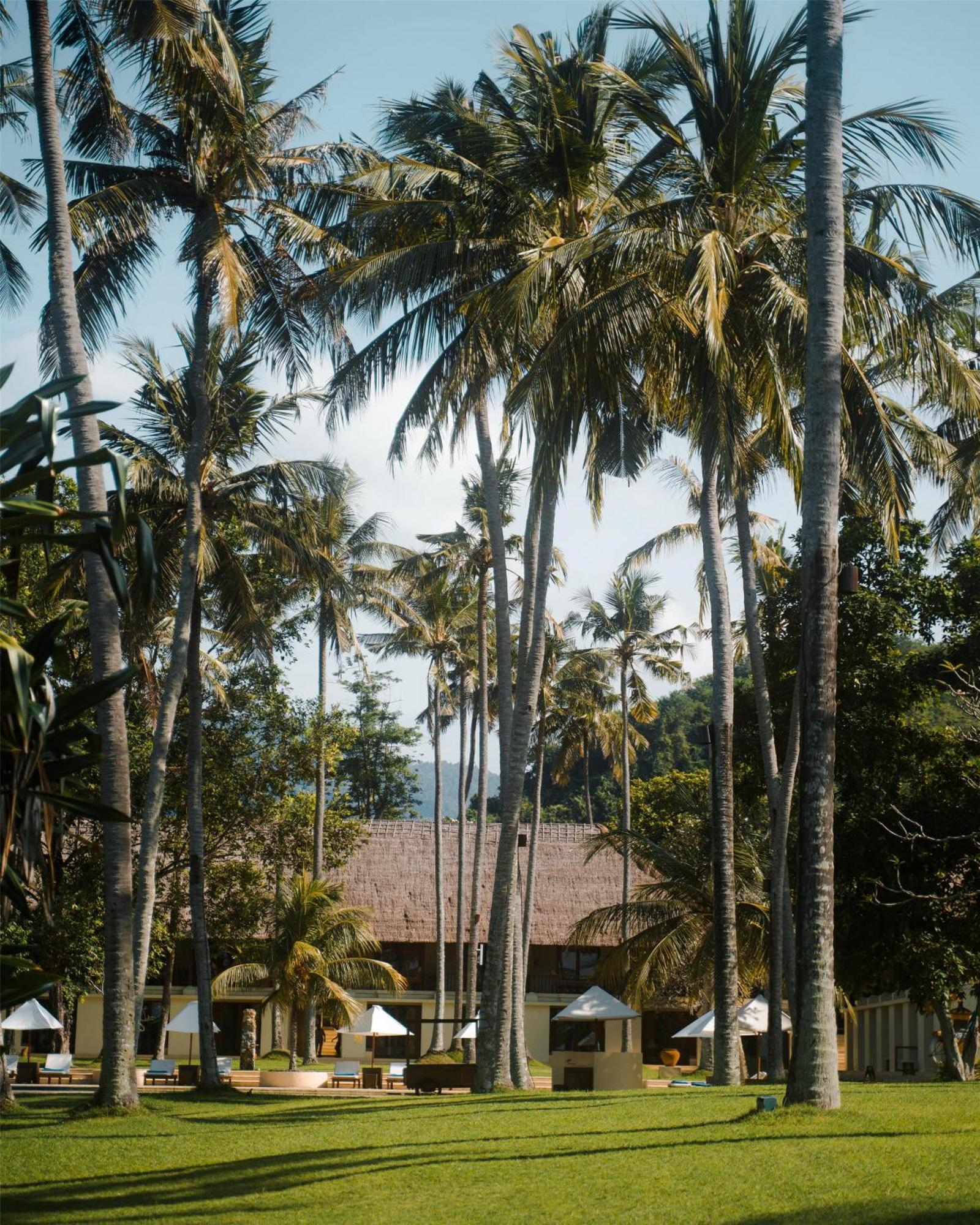 King Room, Daily Afternoon Tea, Complimentary 60-minute photography session with one photo included, Complimentary schedule shuttle service to Candidasa and Tenganan Village, Bicycles for personal use around the resort,1670703735:JPEG