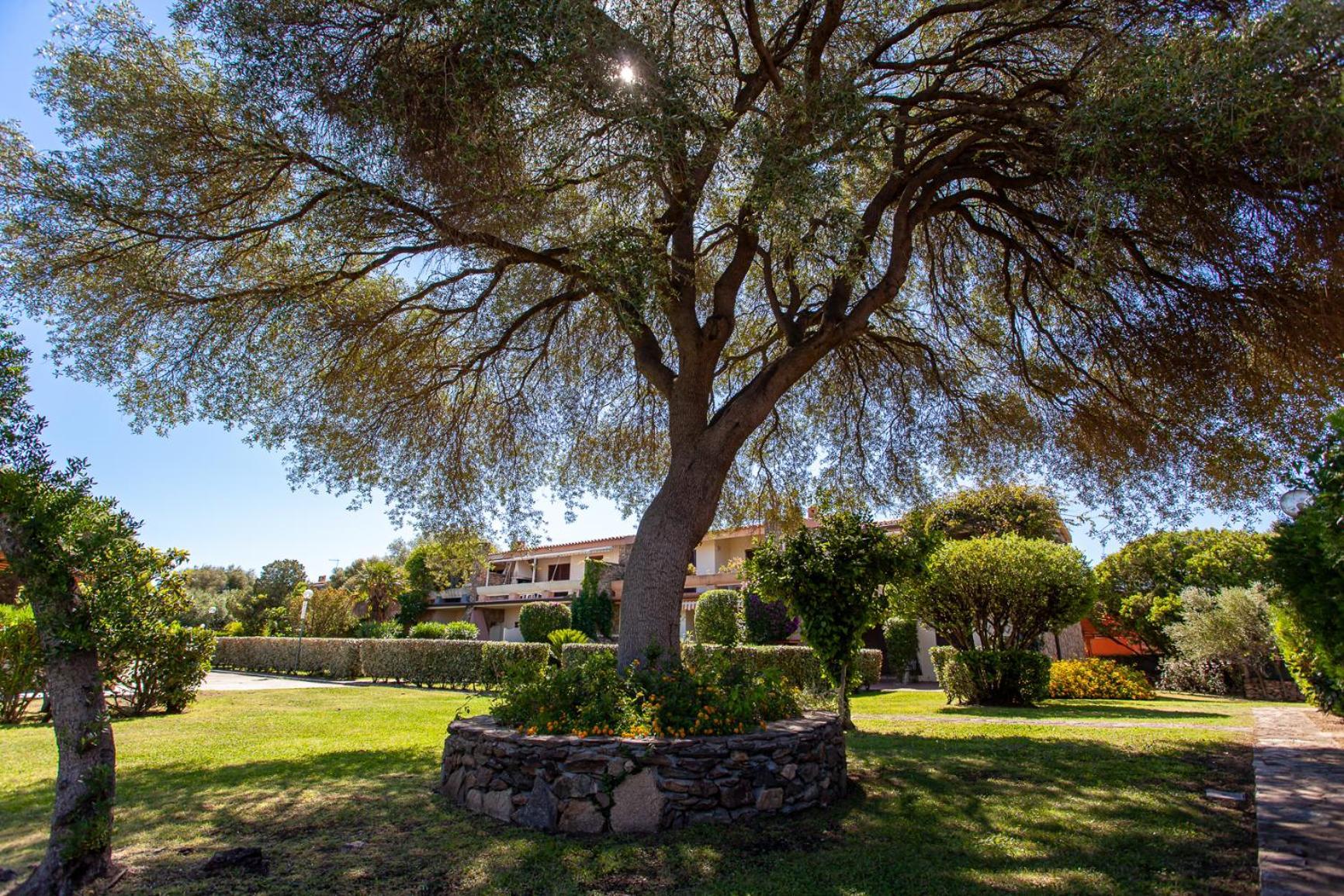 Junior Suite Garden View
