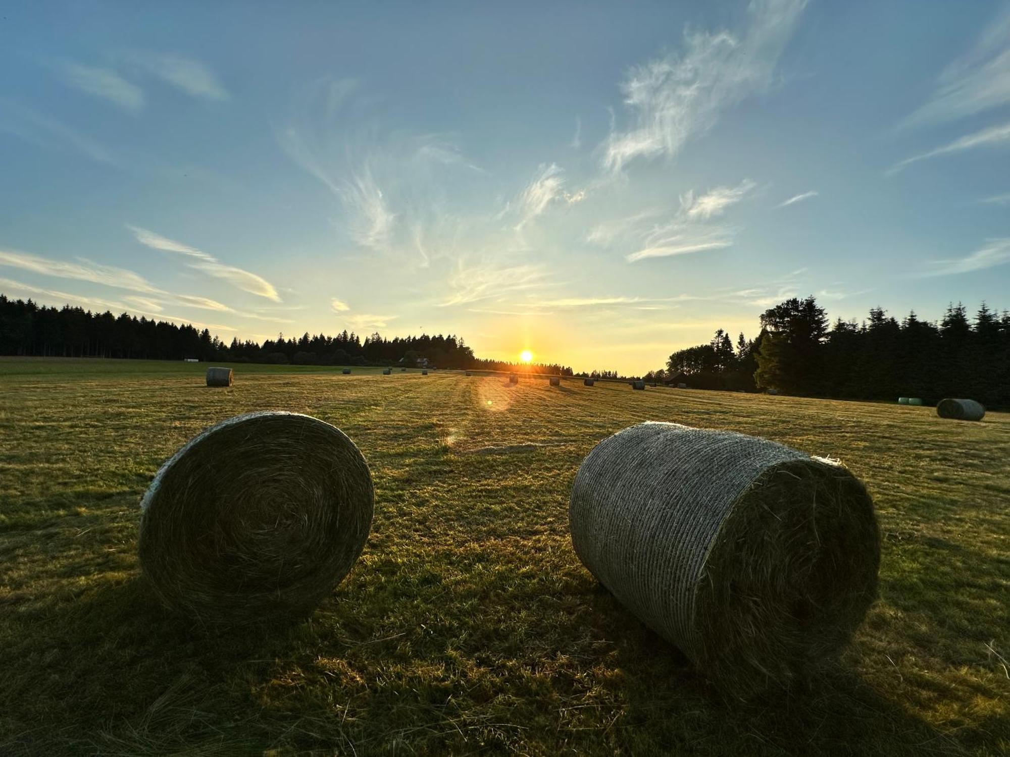 Standard Single Room,1739388344:JPEG