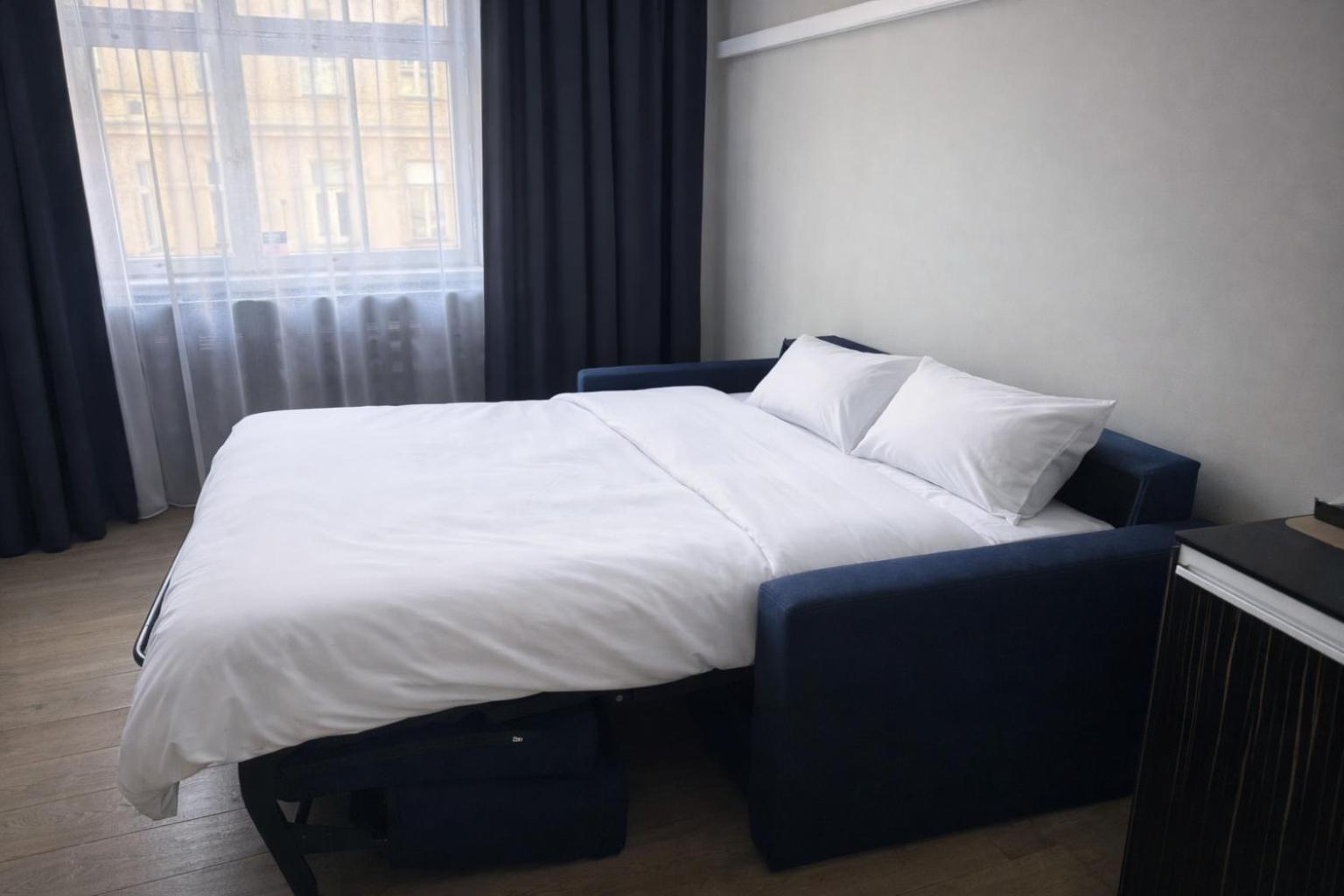 Large 1 Bedroom Apartment Sofa Bed