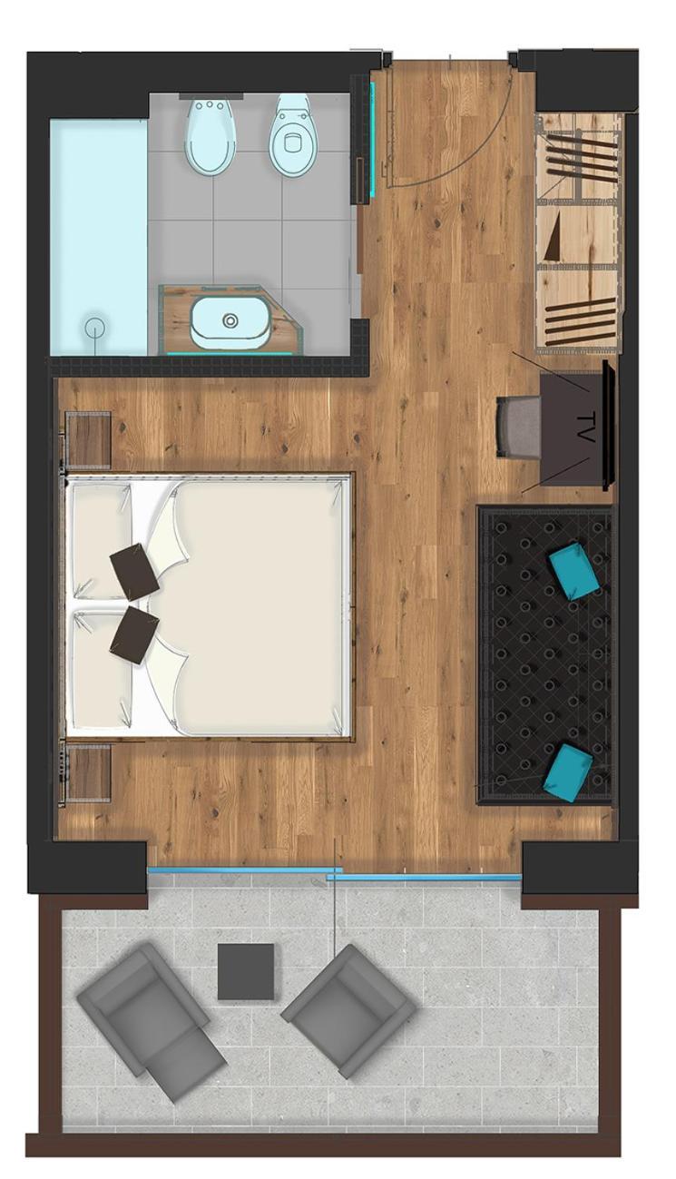 Double or Twin Room Mountain View
