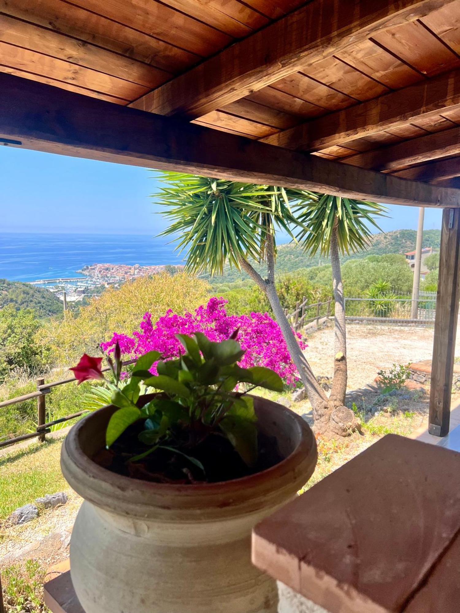 Studio Apartment Sea View