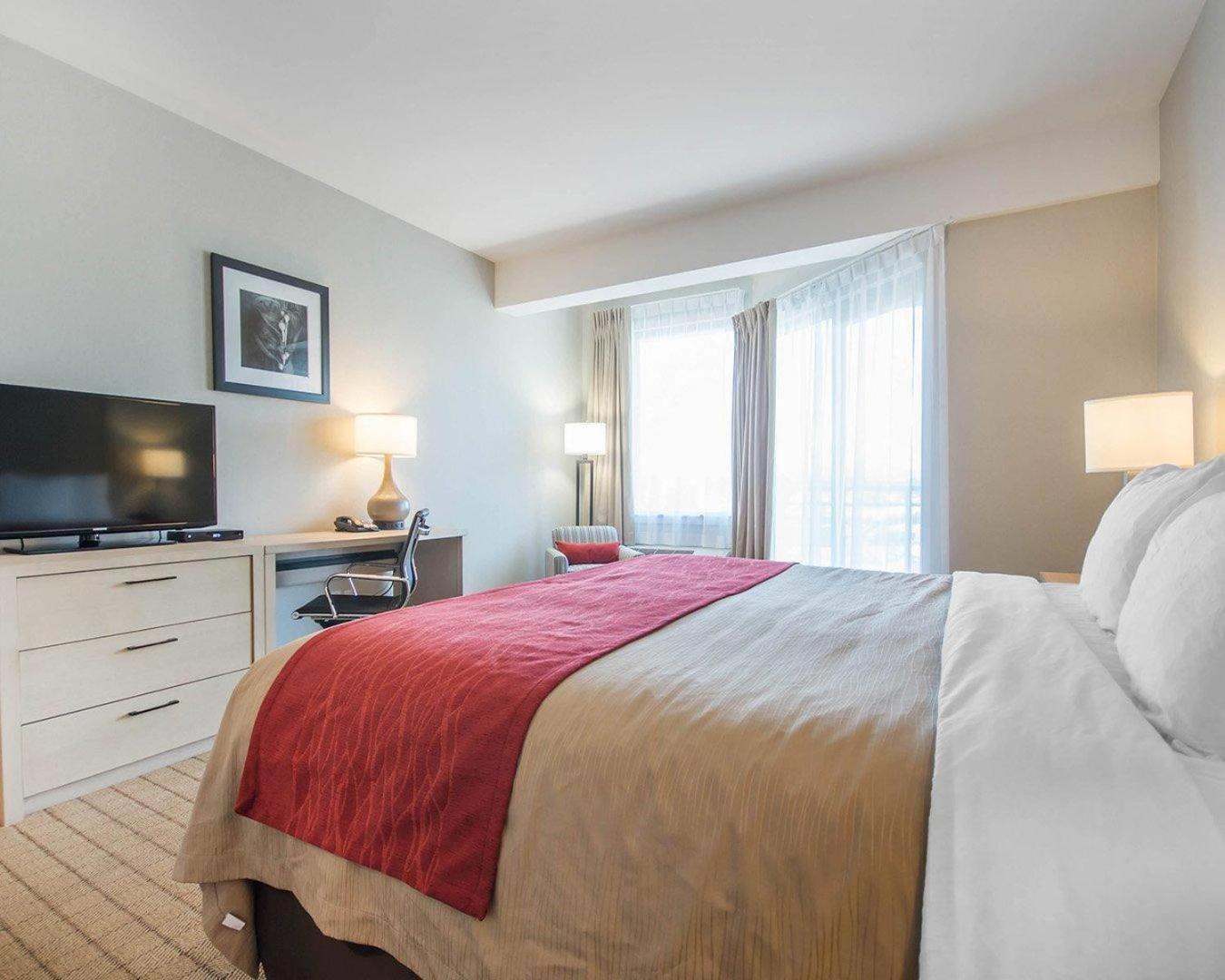 Standard King Room