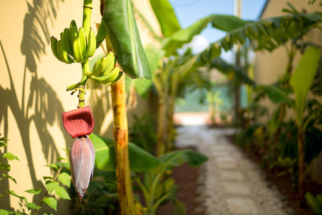 Two-Bedroom Villa (4 Adults),643024245:JPEG