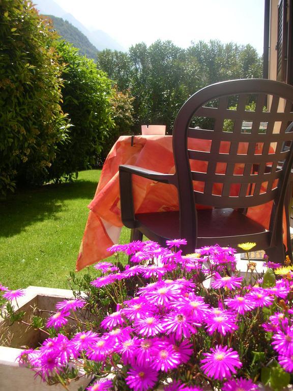 Classic Single Room,398889192:JPEG