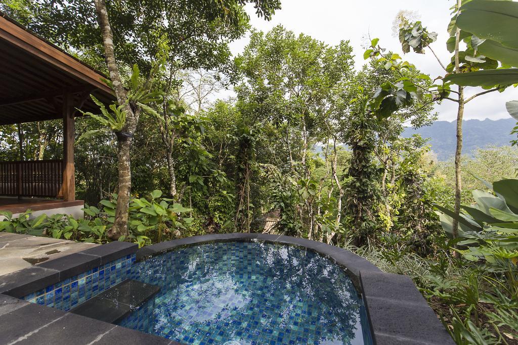 Villa avec Petite Piscine et Jardin