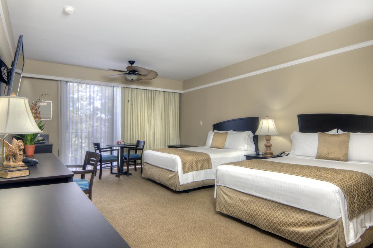 Deluxe Queen Room with Two Queen Beds,943070077:JPEG