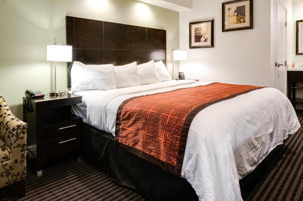 King Room