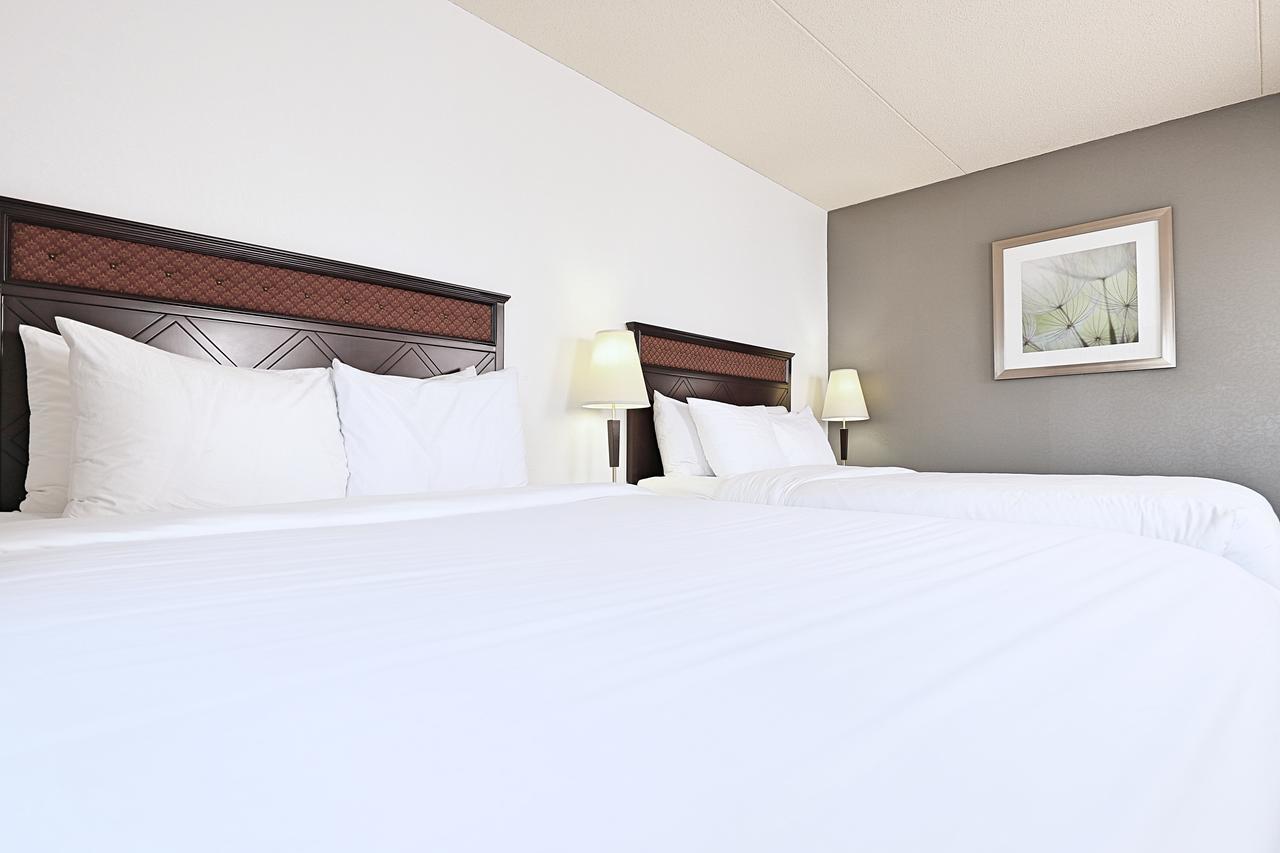 Double Room Two Double Beds