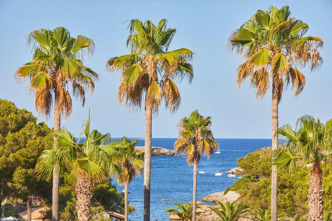 Superior Double or Twin Room with Sea View,894761176:JPEG