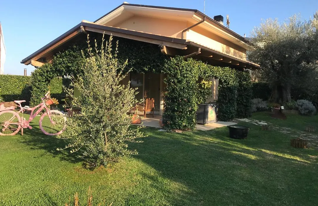 L' Ulivo Bed&Breakfast-1
