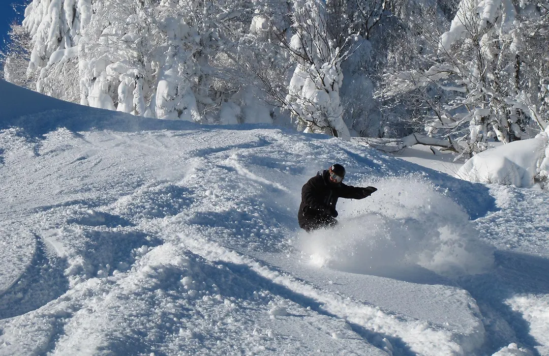 Soaring Eagle Lodge-1
