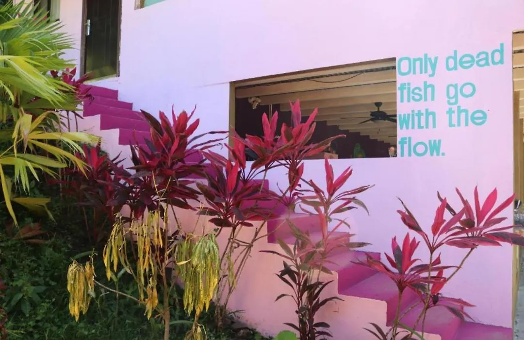 Planet B Hostel - Adults Only-1