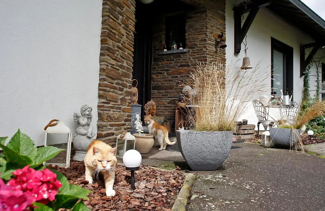 B&B Au Coq En Pate-1