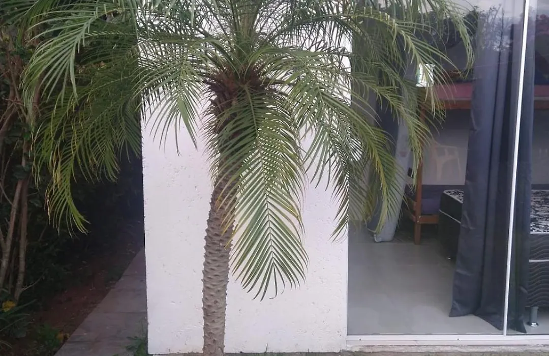 Pousada Beach Eco House Floripa-1