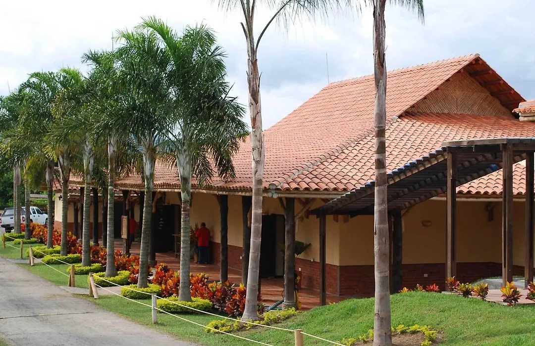 Decameron Panaca-1