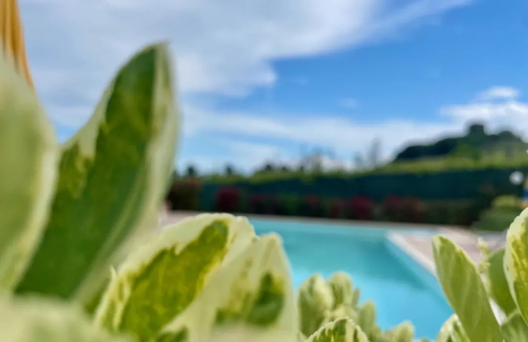 Vigneto - Italian Restaurant&B&B-1