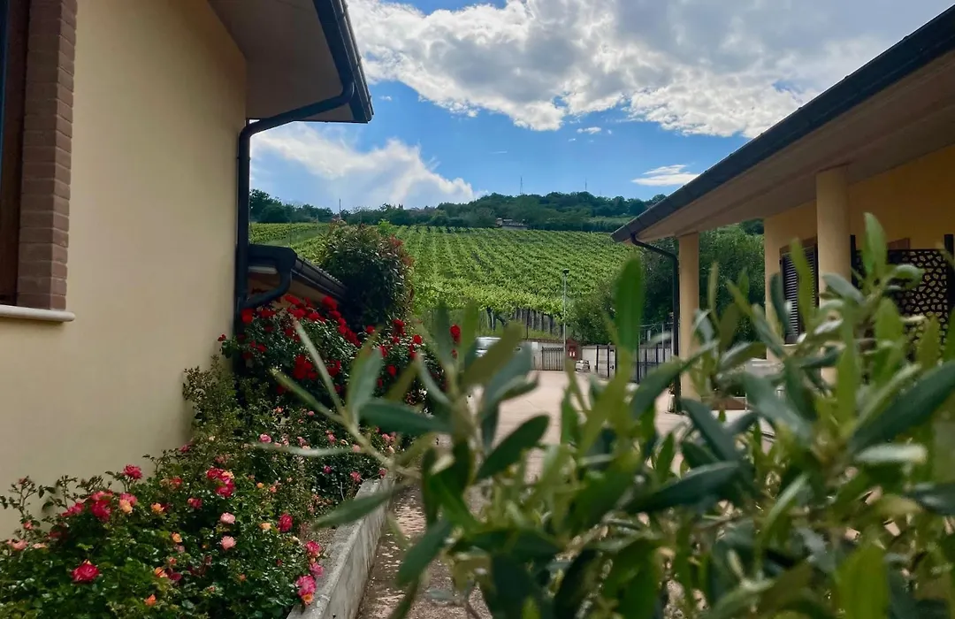Vigneto - Italian Restaurant&B&B-1