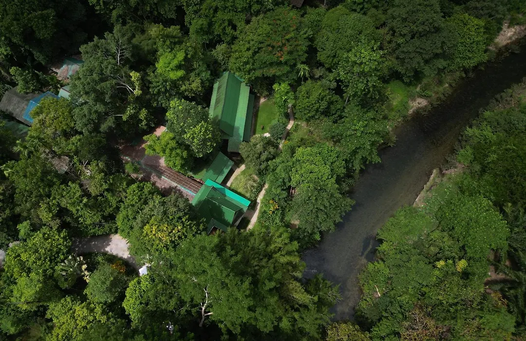 Our Jungle House - SHA Certified-1