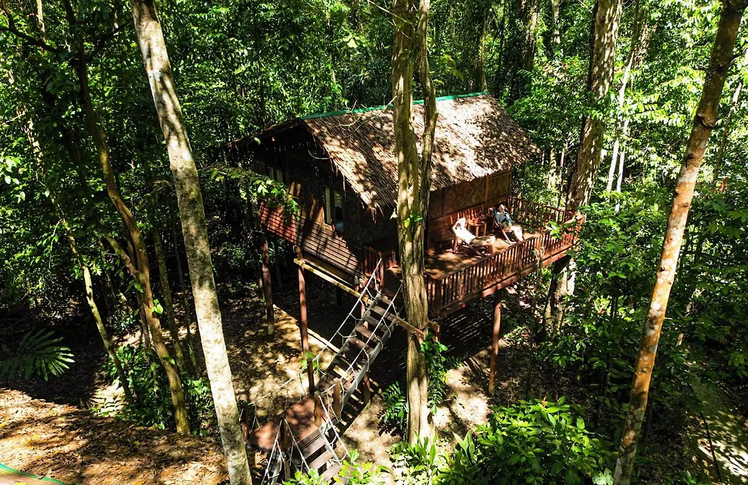 Our Jungle House - SHA Certified-1