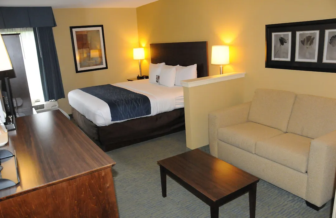 Comfort Inn & Suites Newark - Wilmington-1