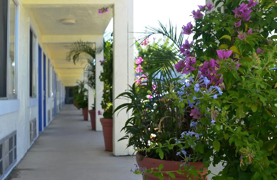 Americas Best Value Inn Bradenton-Sarasota-1