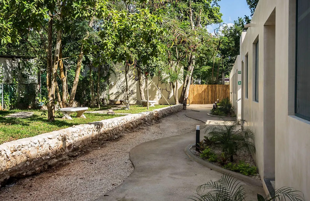 Waye Valladolid Centro - Sustainable, Authentic Experiences&Pet Friendly Boutique Hotel-1