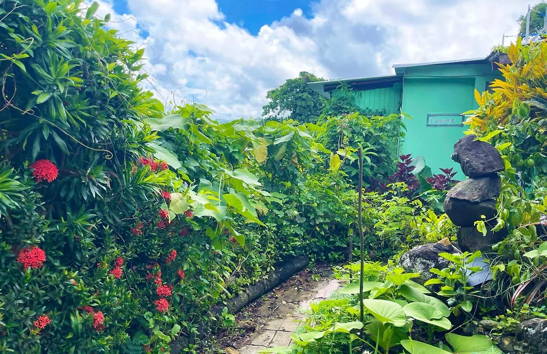 La Casa De Vida Natural-1