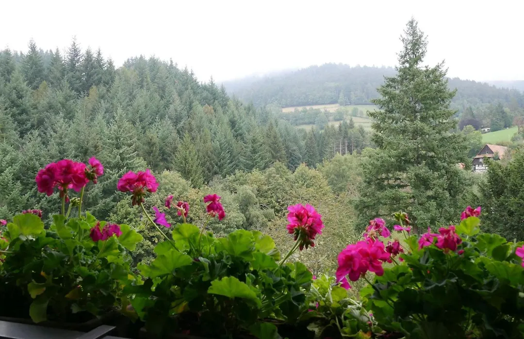 Seebach-Hotel-1