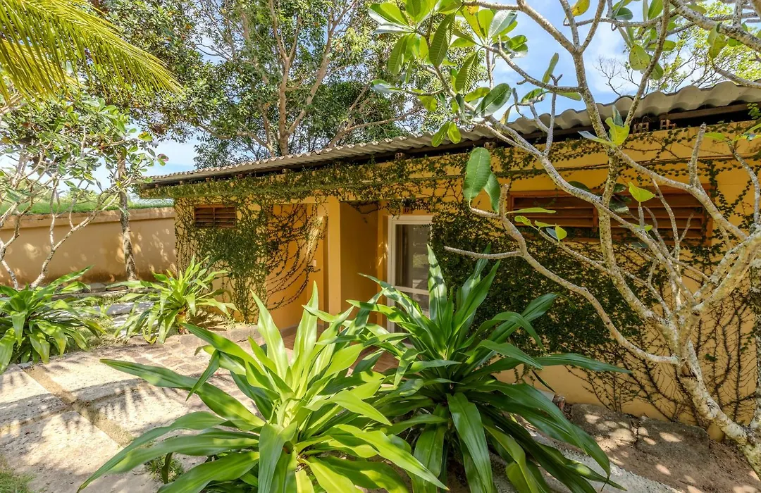 Mango Beach Resort-1