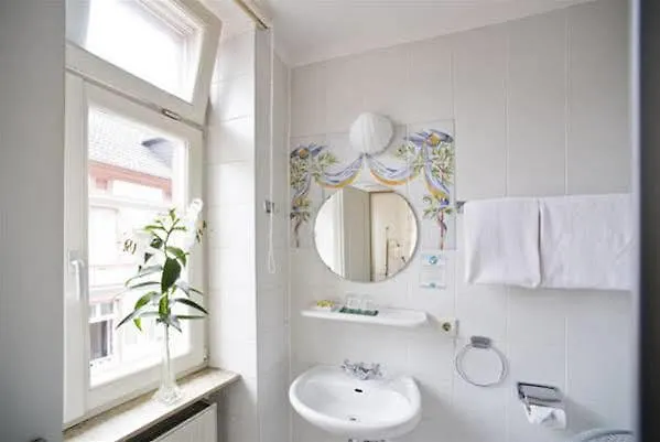 Hotel Goldener Hecht-1
