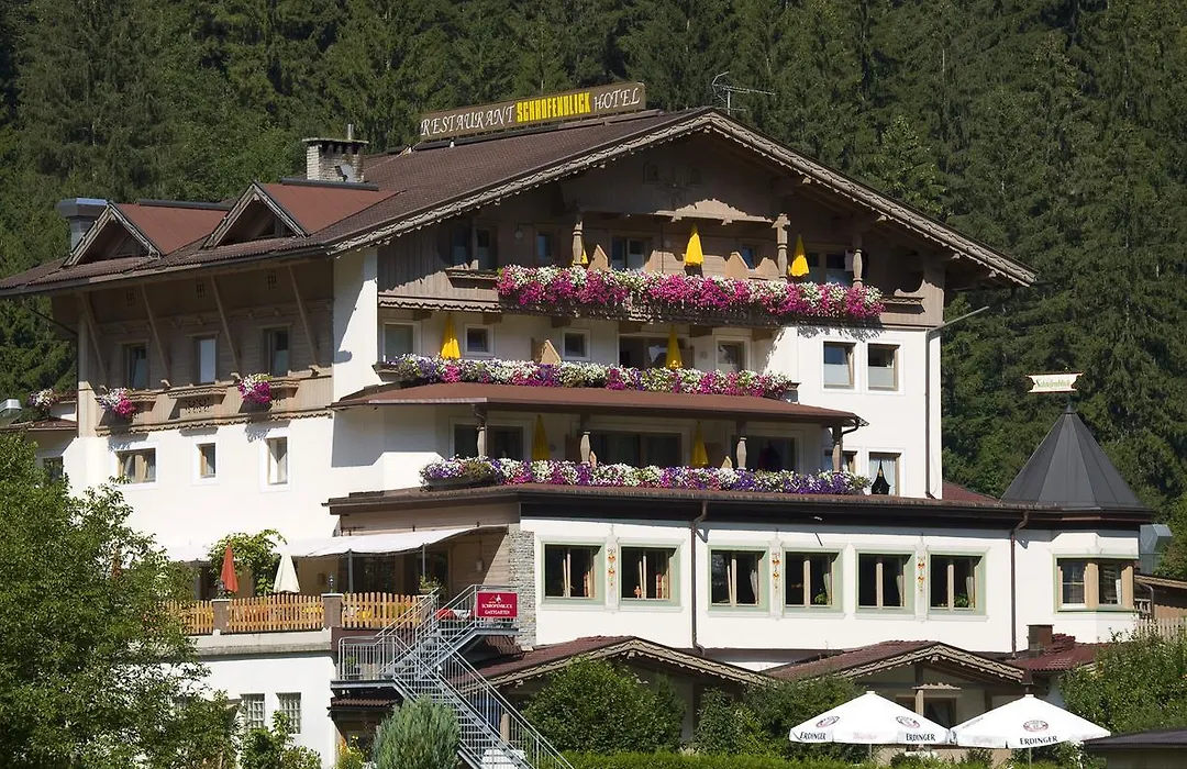 Alpin-Hotel Schrofenblick-1