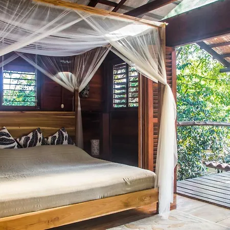 Funky Monkey Lodge-2
