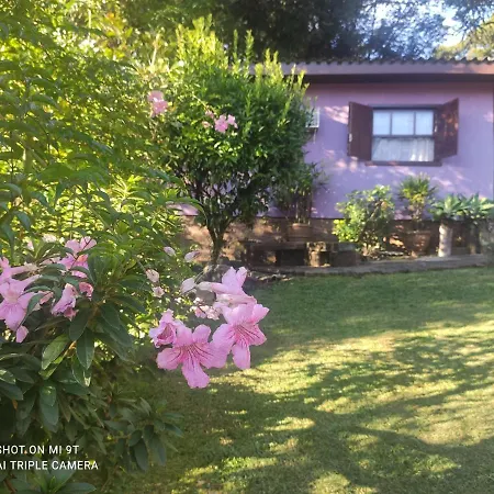 Pousada Gardenia Guest House-3